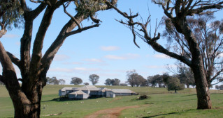 The second woolshed on Errowanbang, erected in c.1890 (Edward Higginbotham, 2010).